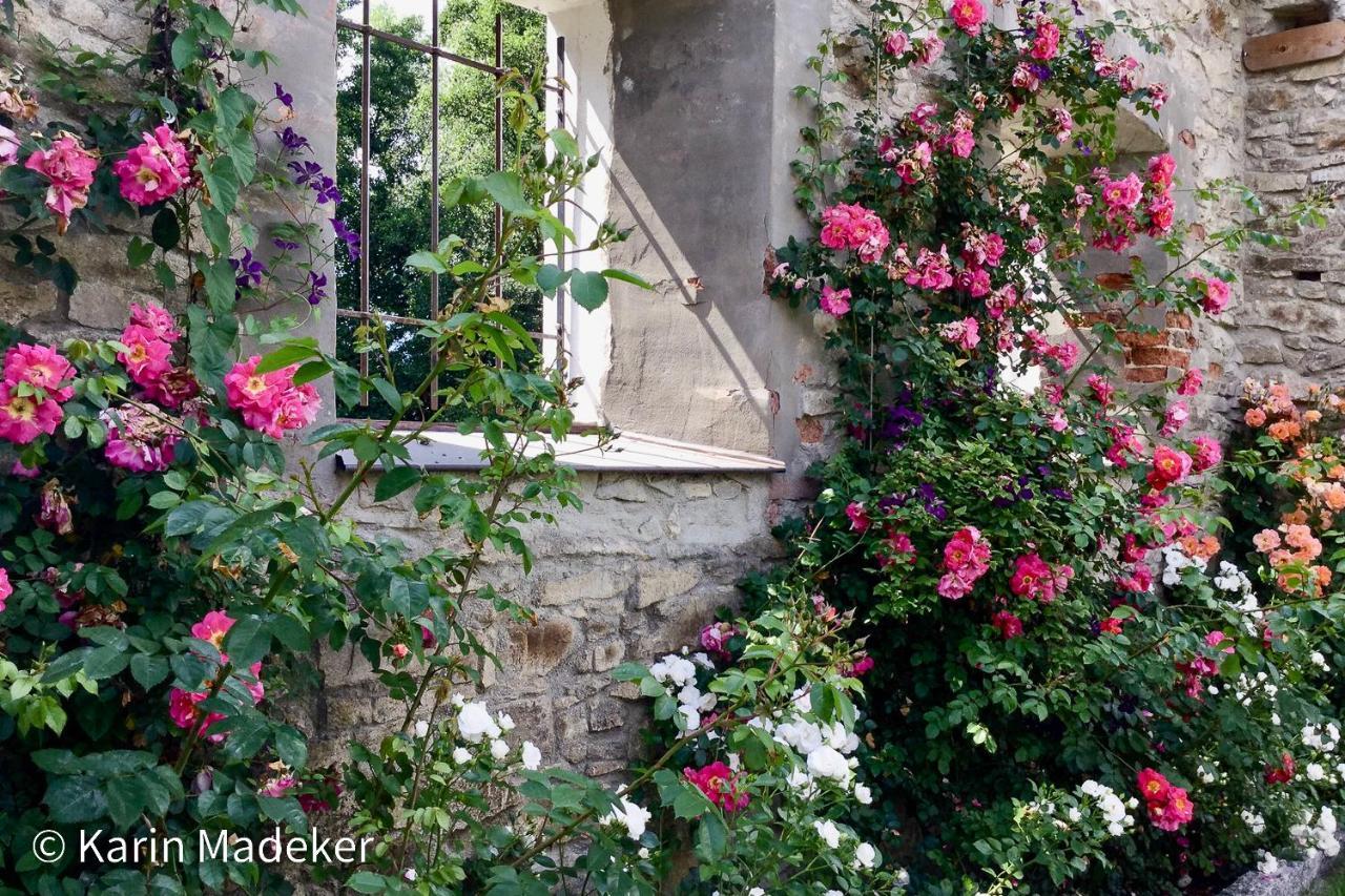 Design Mit Bauerngarten Вальдкирхен