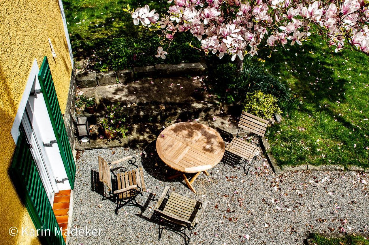Design Mit Bauerngarten Apartment Waldkirchen