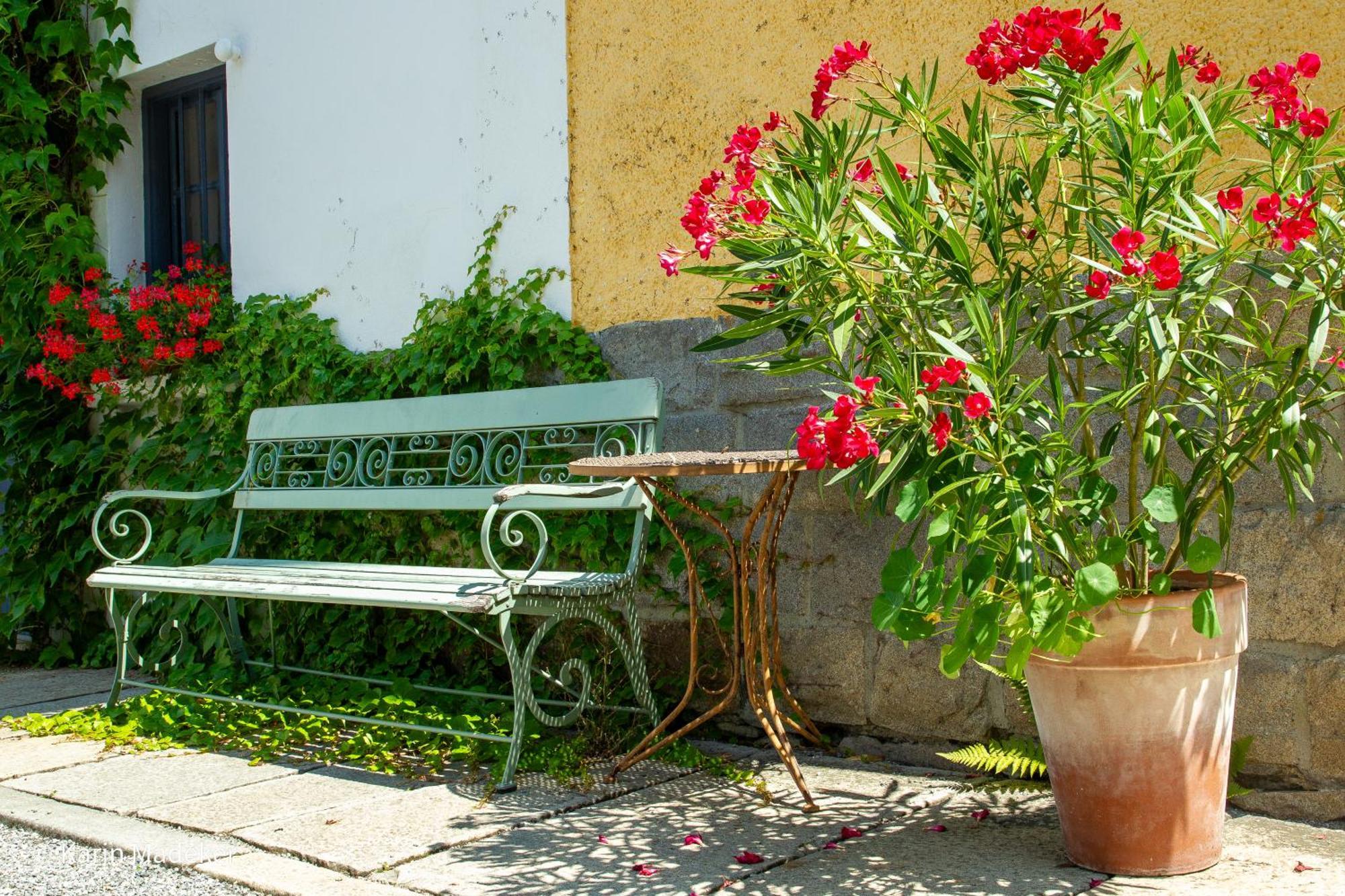 Design Mit Bauerngarten Apartment