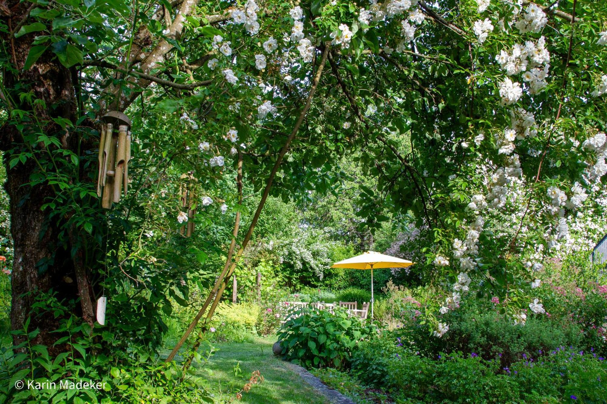 Design Mit Bauerngarten Apartment Waldkirchen