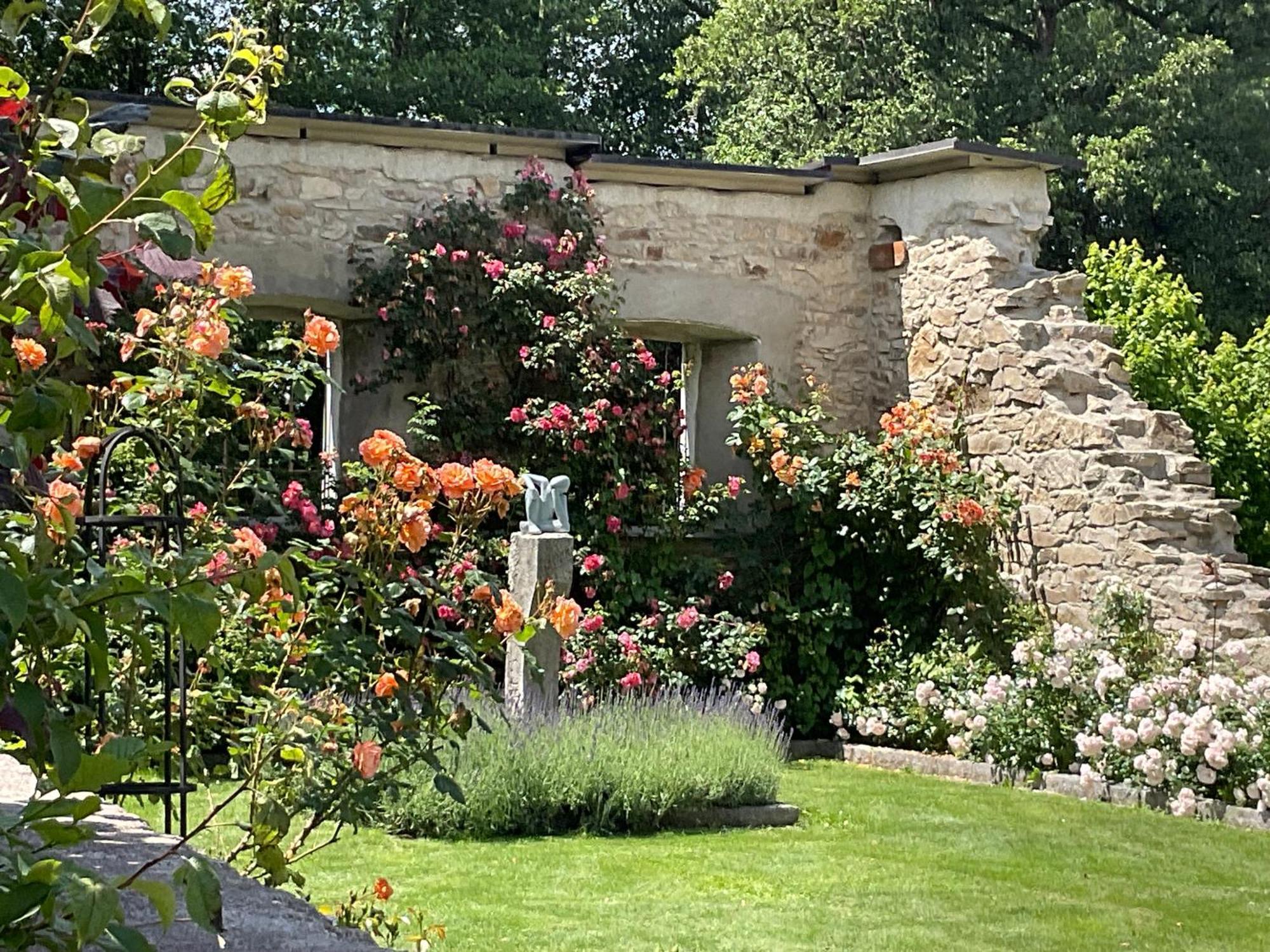 Design Mit Bauerngarten *