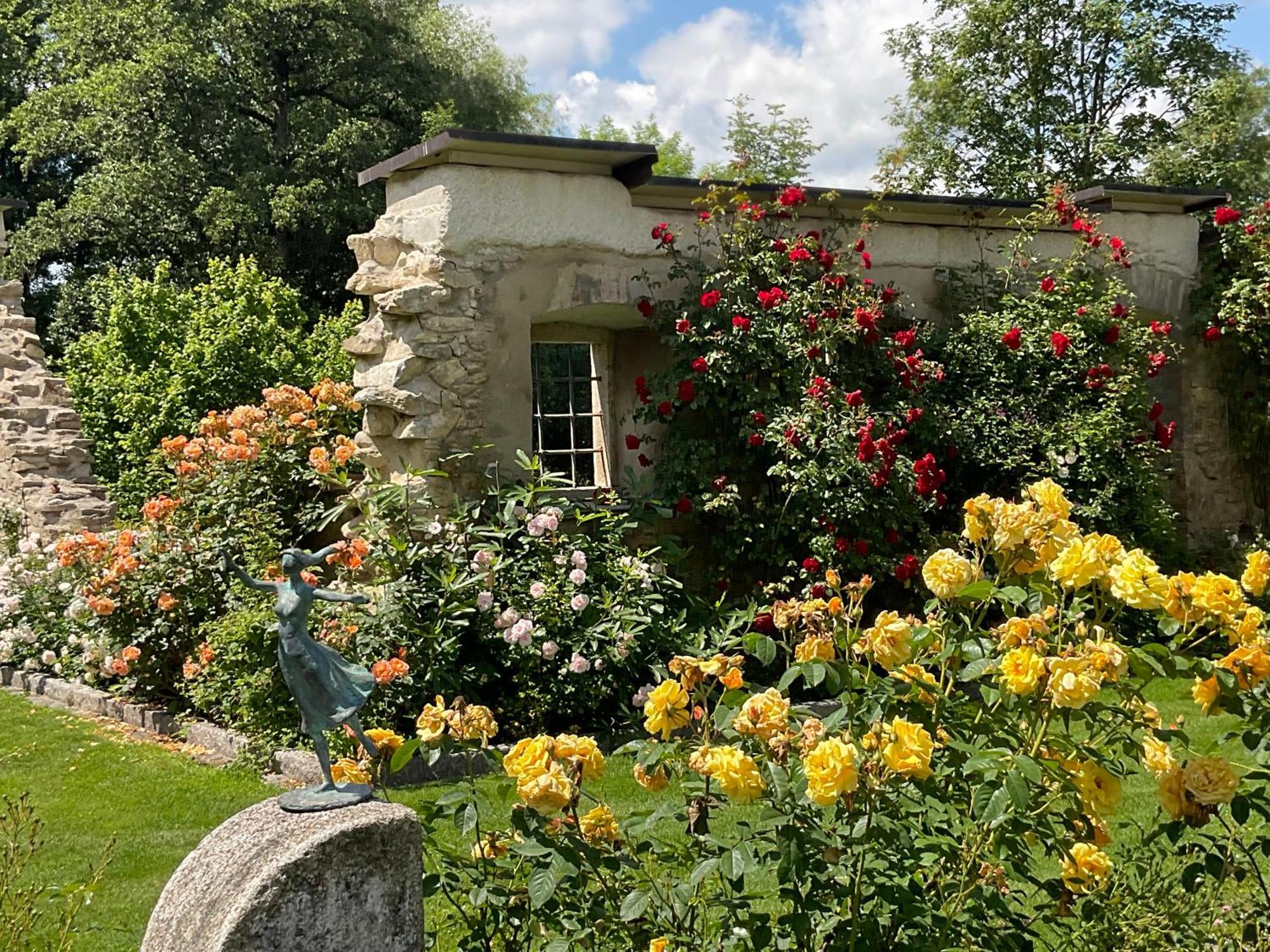 Design Mit Bauerngarten *