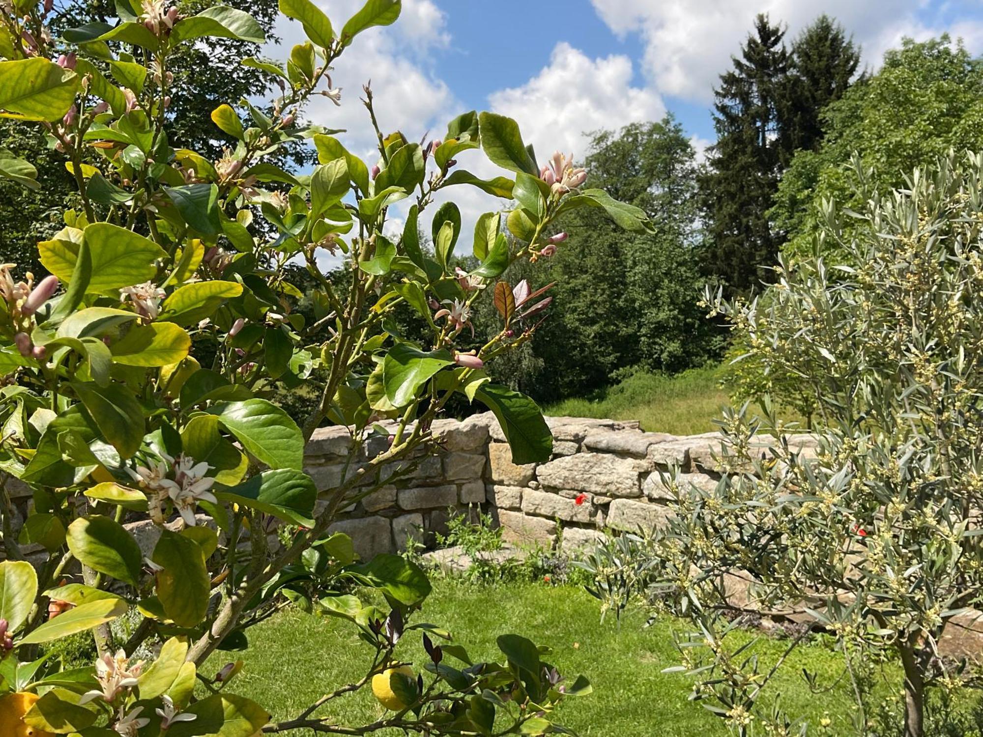 Lejlighed Design Mit Bauerngarten Waldkirchen