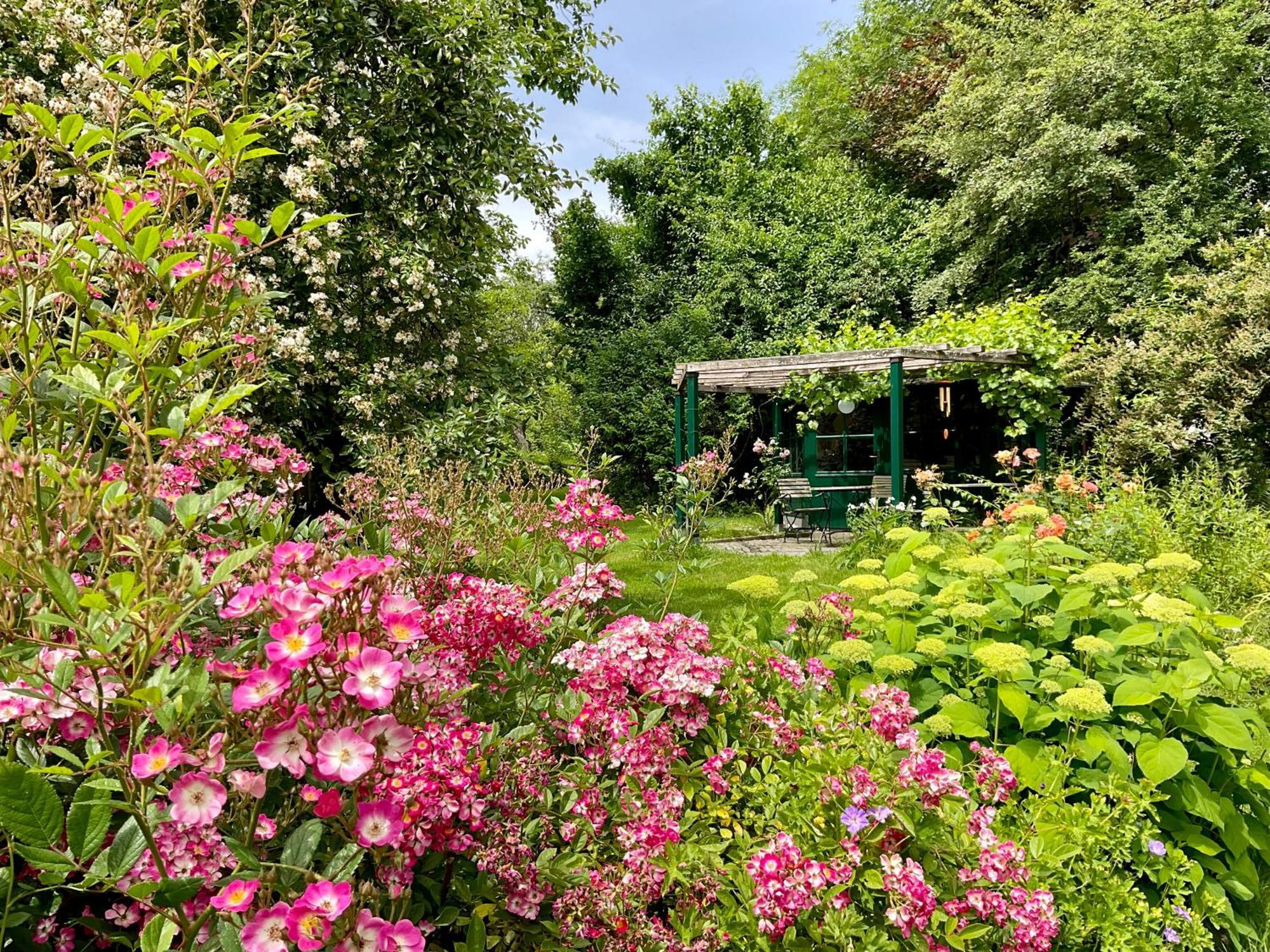 Lejlighed Design Mit Bauerngarten *